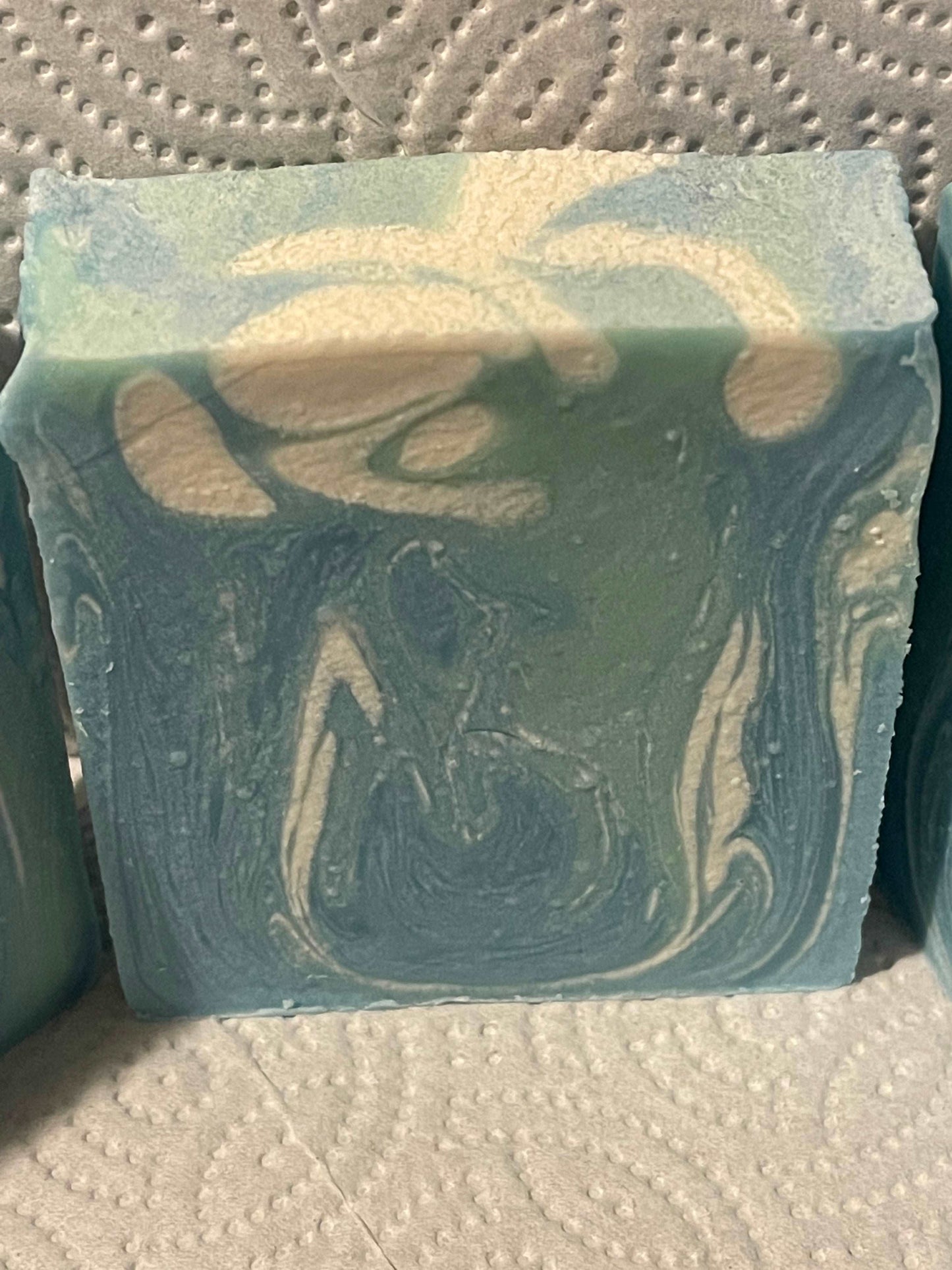 Glacier Falls Coconut Milk Soap Bar Soap Robinson Family Soaps