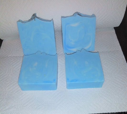 Cool Waves Coconut Milk Soap Bar Soap Robinson Family Soaps   